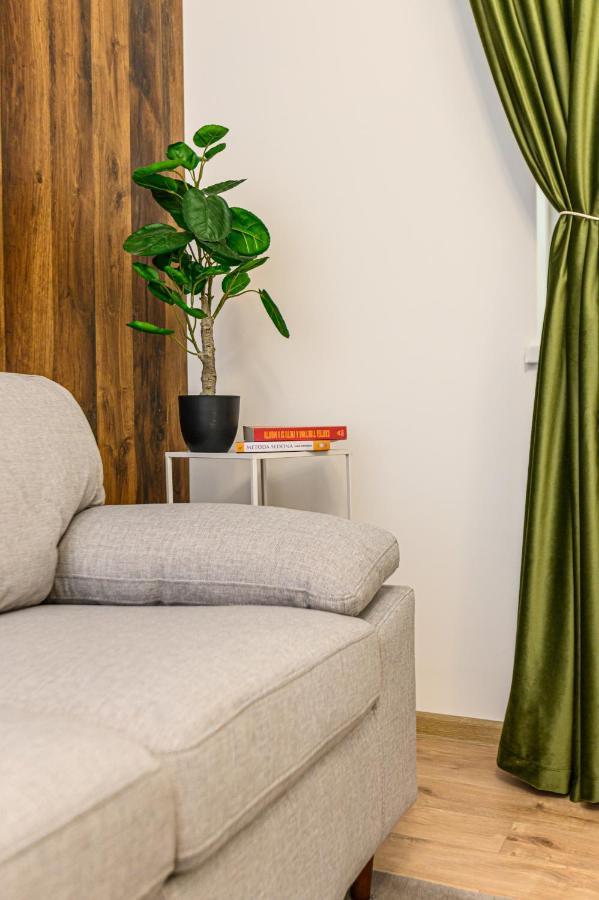 Green Wood Apartment Μπρασόβ Εξωτερικό φωτογραφία